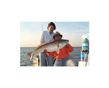 Two people holding a fish on the boat